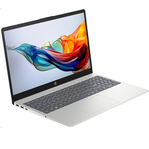 HP 15,6" N100/8GB/512GB/W11